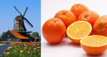 オランダとオレンジ / Holland and orange