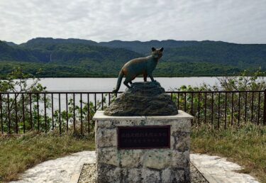 26 旅路の記 西表島 / 26 Travelogue Iriomote